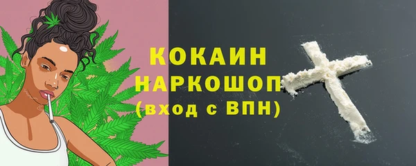 стаф Дмитровск