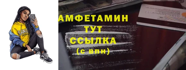 меф Дмитриев