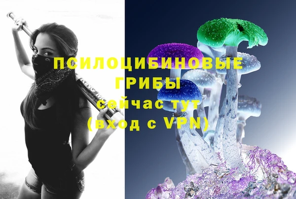 стаф Дмитровск